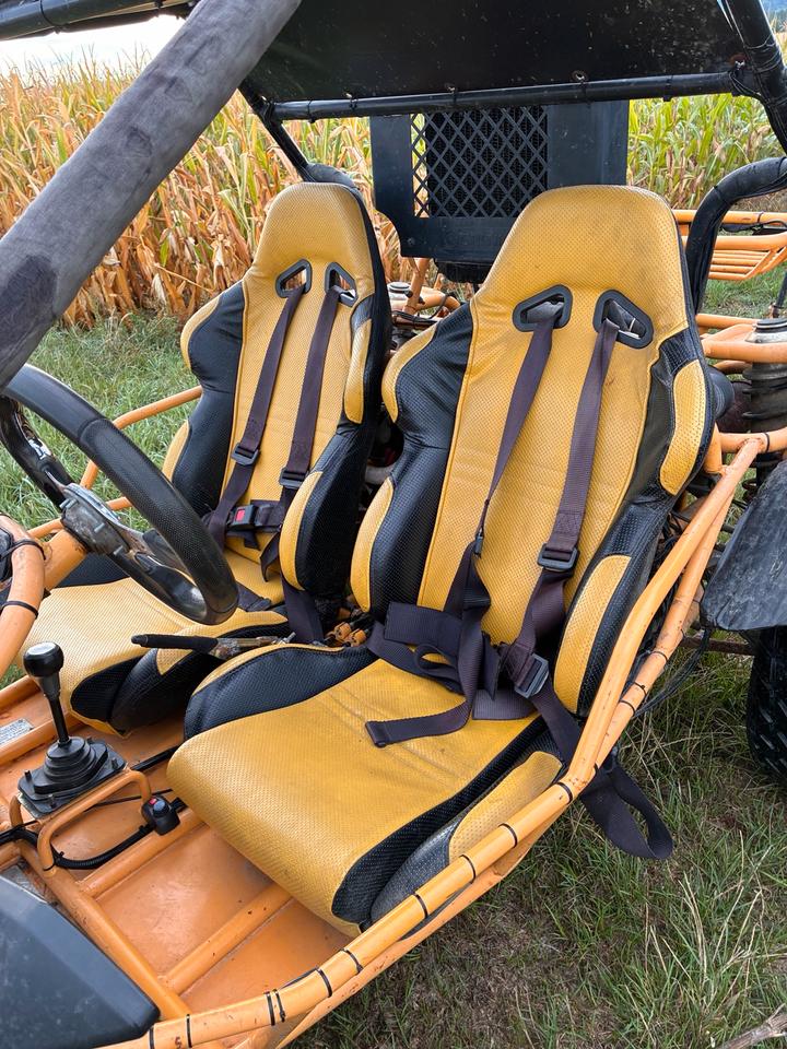  Gelöscht • Buggy 650ccm Saiting 650 2010 — photo 8