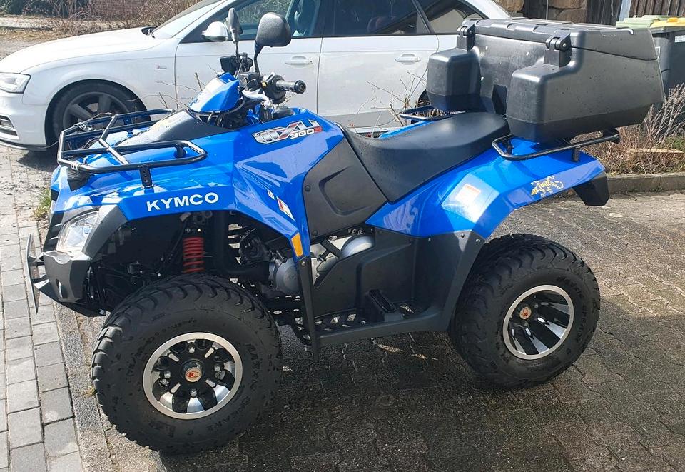 Kymco MXU 300R Quad 2014 — rear view