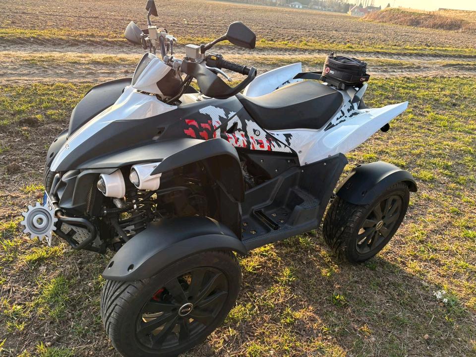 Weitere Motorräder Quad TGB Gunner 550 LOF 2011 — вигляд ззаду