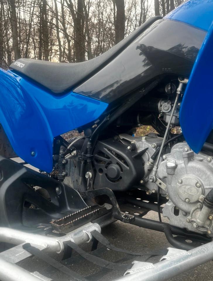 Kymco Quad Kymco maxxer 250 (Auch Tausch) 2010 — фото 12