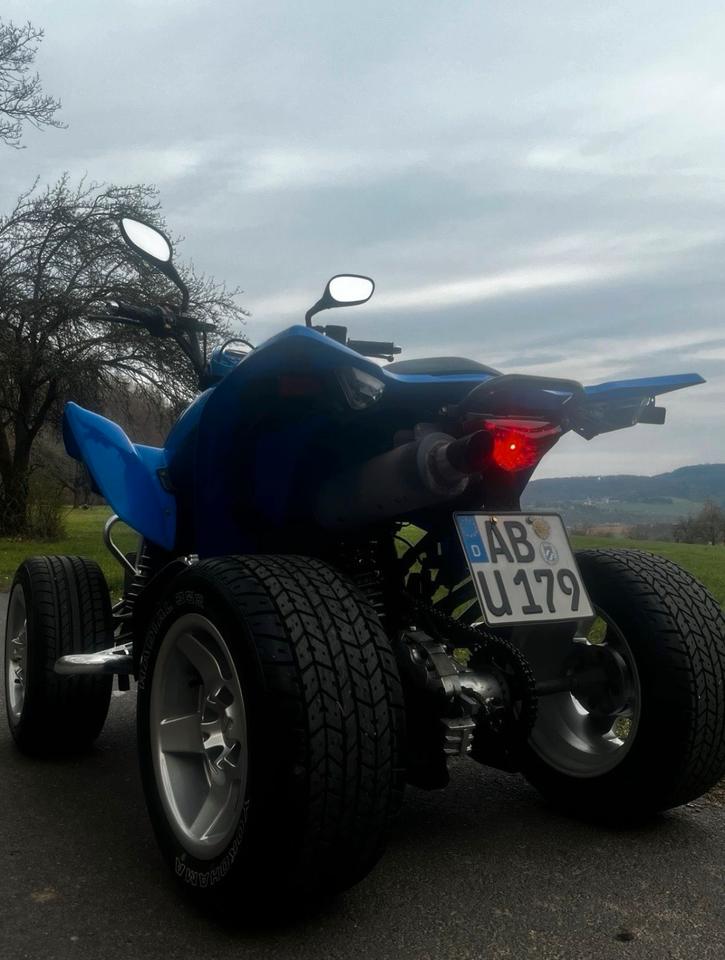 Kymco Quad Kymco maxxer 250 (Auch Tausch) 2010 — фото 16