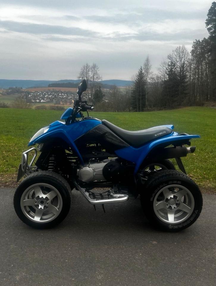 Kymco Quad Kymco maxxer 250 (Auch Tausch) 2010 — вигляд ззаду