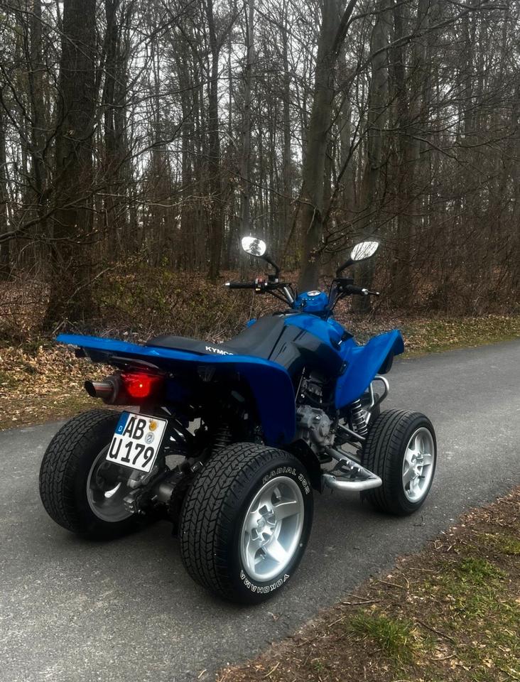 Kymco Quad Kymco maxxer 250 (Auch Tausch) 2010 — фото 5