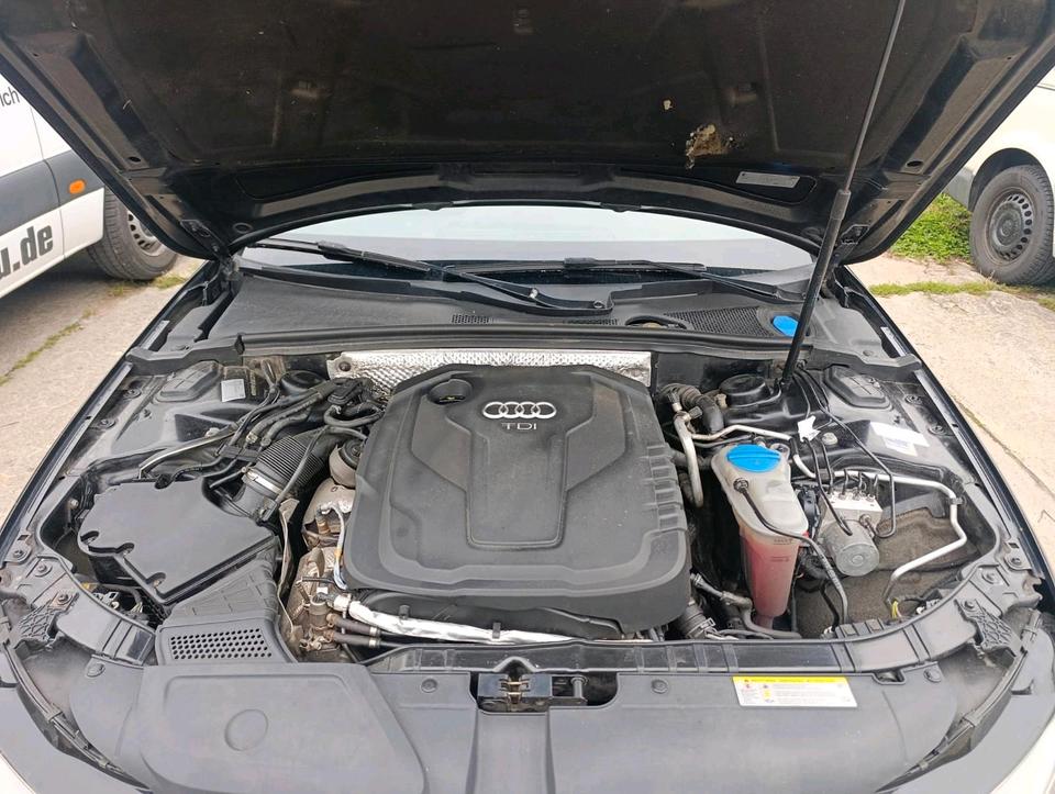 Audi A4 2014 — вигляд ззаду