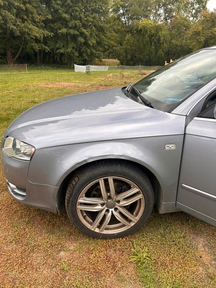 Audi A4 2006 — вигляд ззаду
