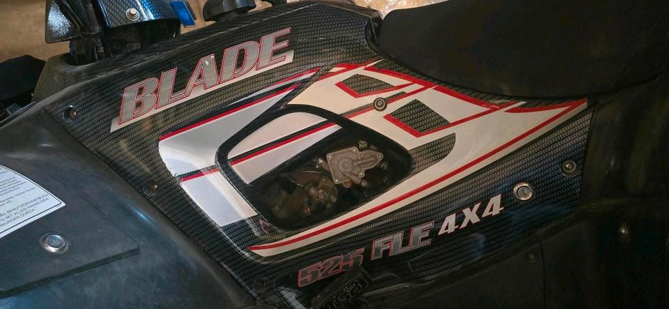 Weitere Motorräder Gelöscht • Quad Blade 525 4x4 2009 — photo 7