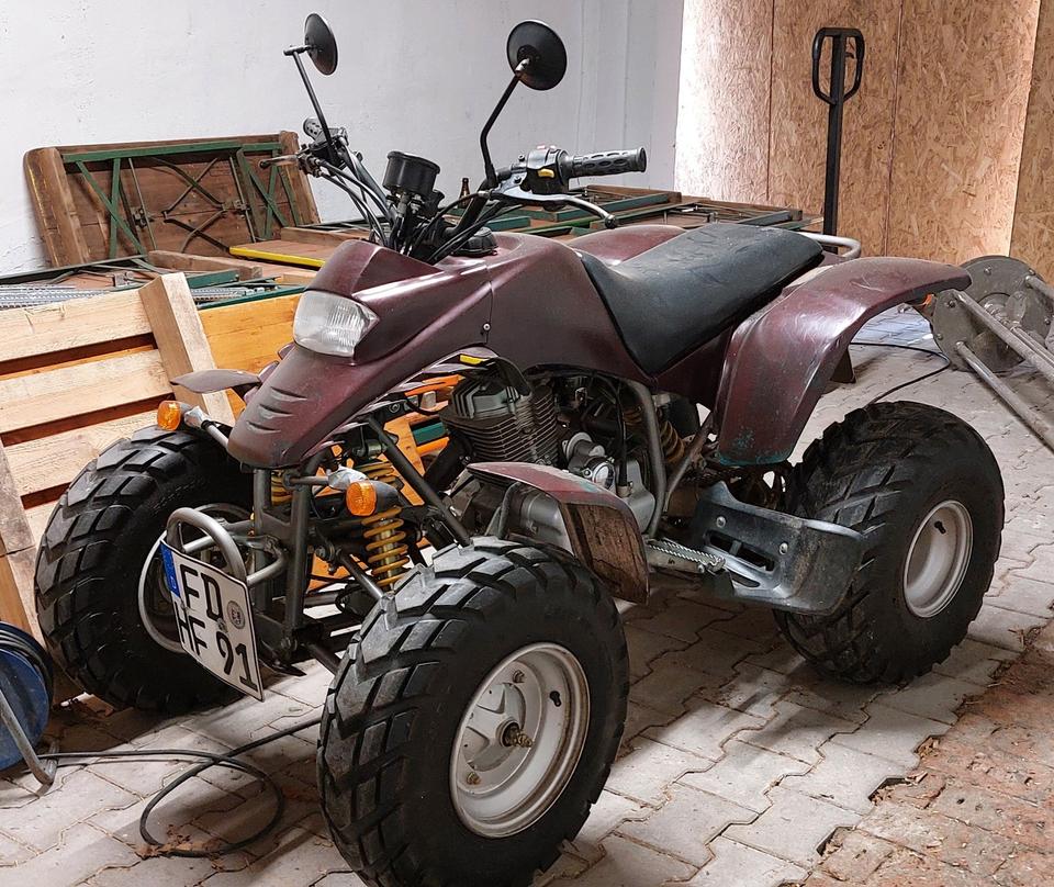 Ering Quad Stinger 170 2004 — vehicle for AFU Ukraine