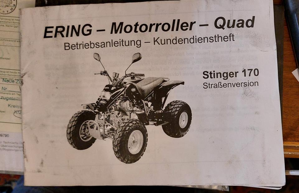  Ering Quad Stinger 170 2004 — photo 6