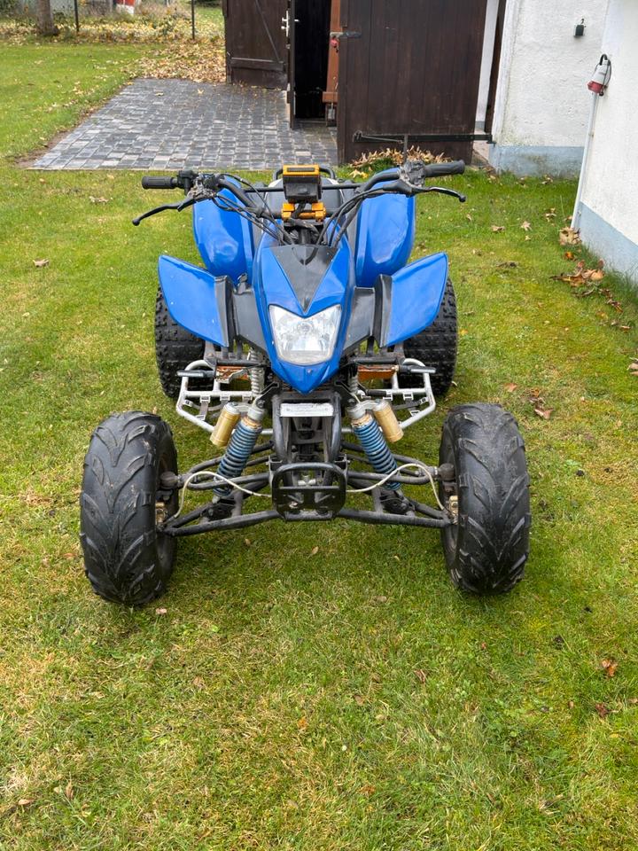 Weitere Motorräder Bashan Quad BS200S-7 2008 — rear view