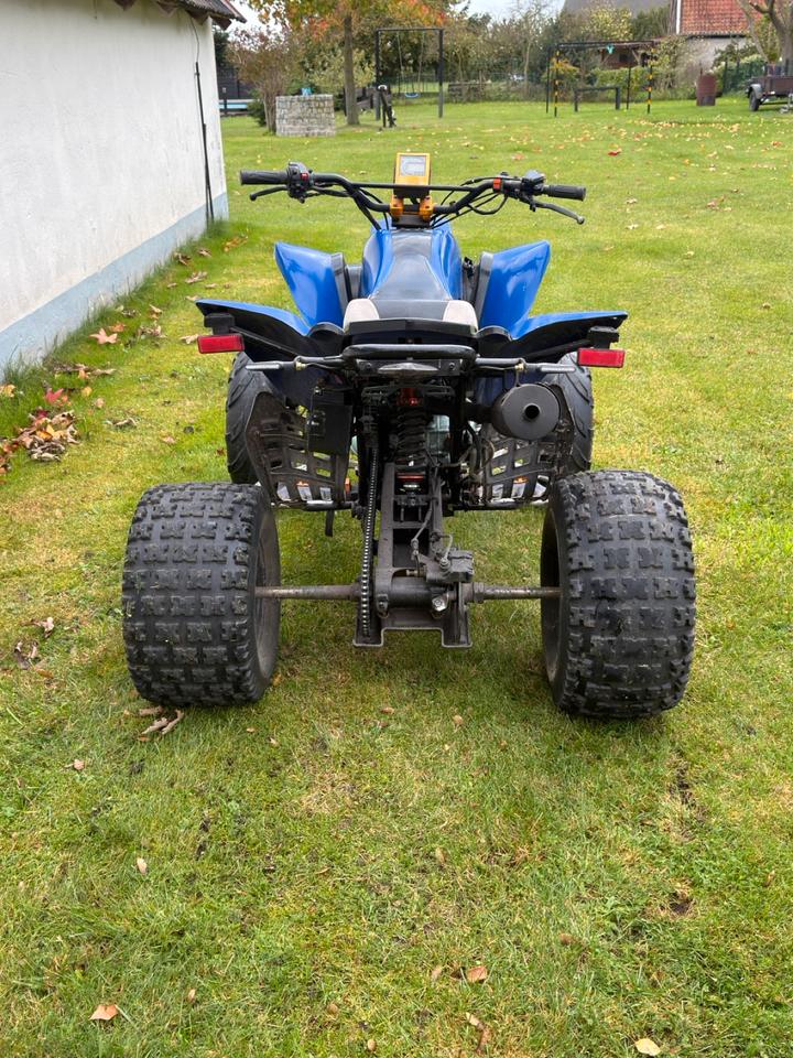 Weitere Motorräder Bashan Quad BS200S-7 2008 — interior