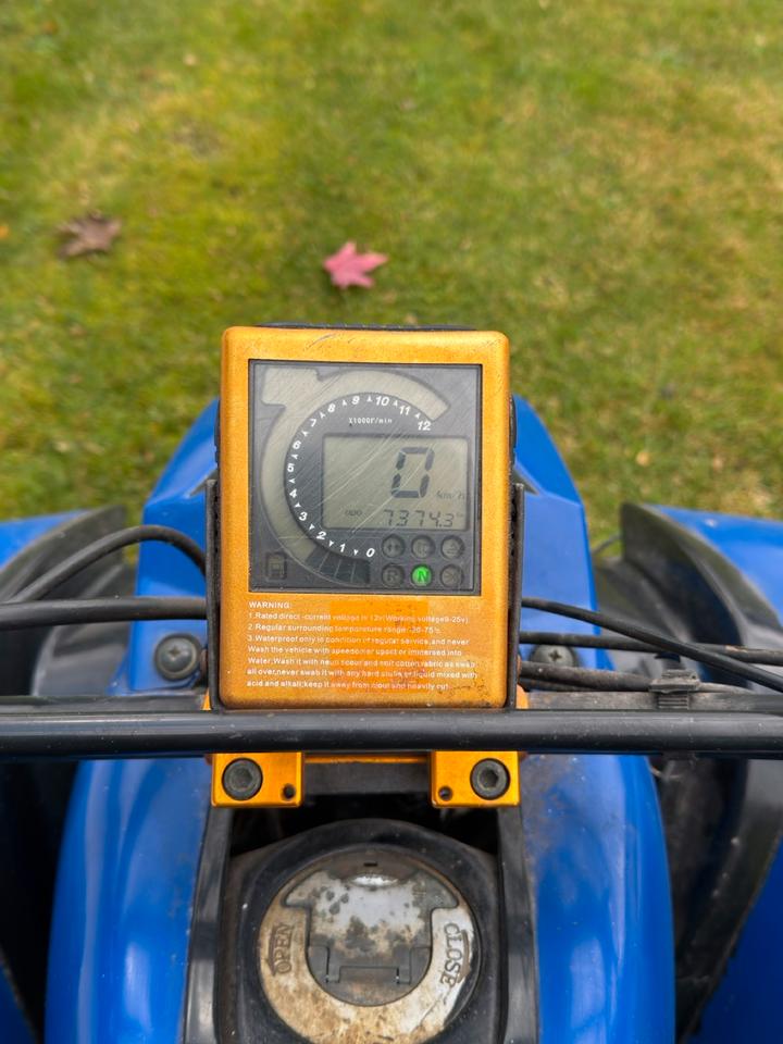 Weitere Motorräder Bashan Quad BS200S-7 2008 — photo 6