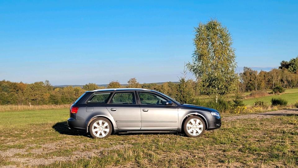 Audi A4 2006 — photo 6