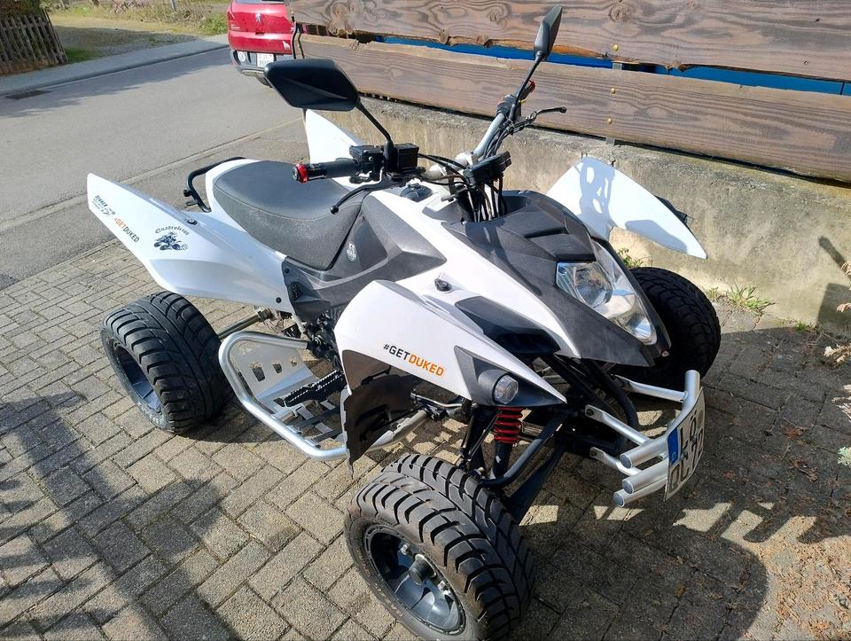 Weitere Motorräder Quad Beeline Bestia 3.3 2014 — rear view