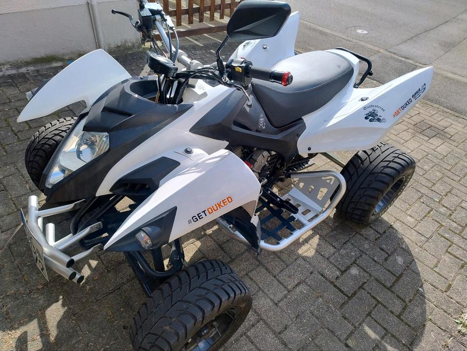 Weitere Motorräder Quad Beeline Bestia 3.3 2014 — interior