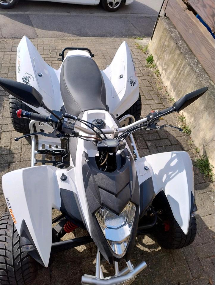 Weitere Motorräder Quad Beeline Bestia 3.3 2014 — engine 300 ccm
