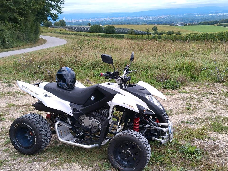 Weitere Motorräder Quad Beeline Bestia 3.3 2014 — photo 5