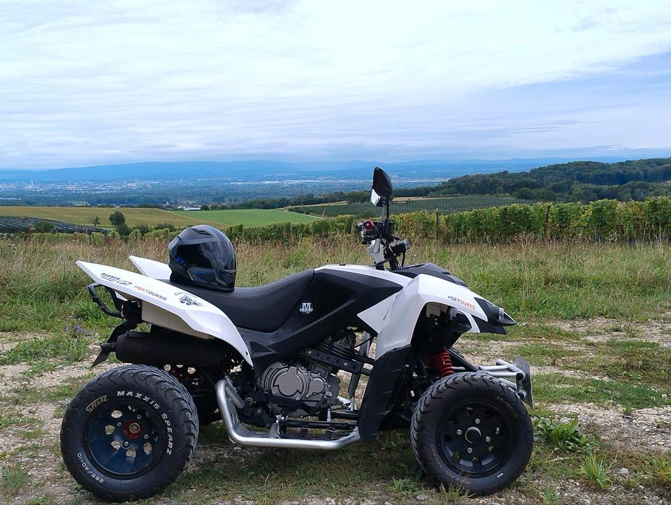 Weitere Motorräder Quad Beeline Bestia 3.3 2014 — photo 6