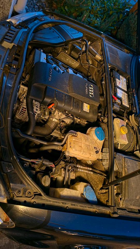Audi A4 2005 — photo 16