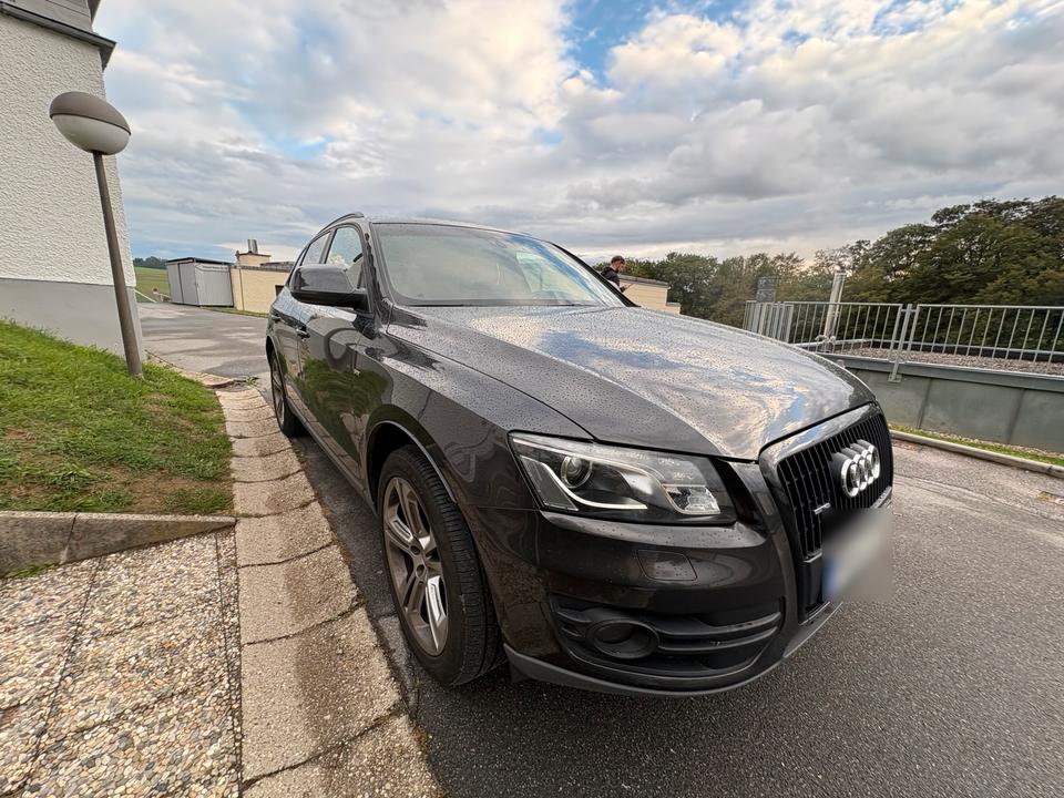 Audi Q5 2011 — rear view