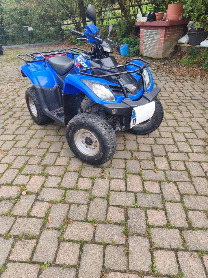 Kymco Quad Kymco L6 MXU 2008 — interior