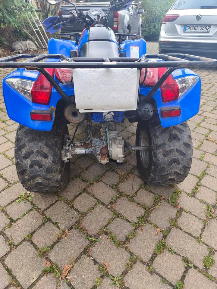 Kymco Quad Kymco L6 MXU 2008 — engine 271 ccm