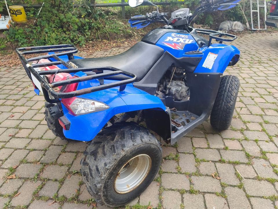 Kymco Quad Kymco L6 MXU 2008 — photo 6