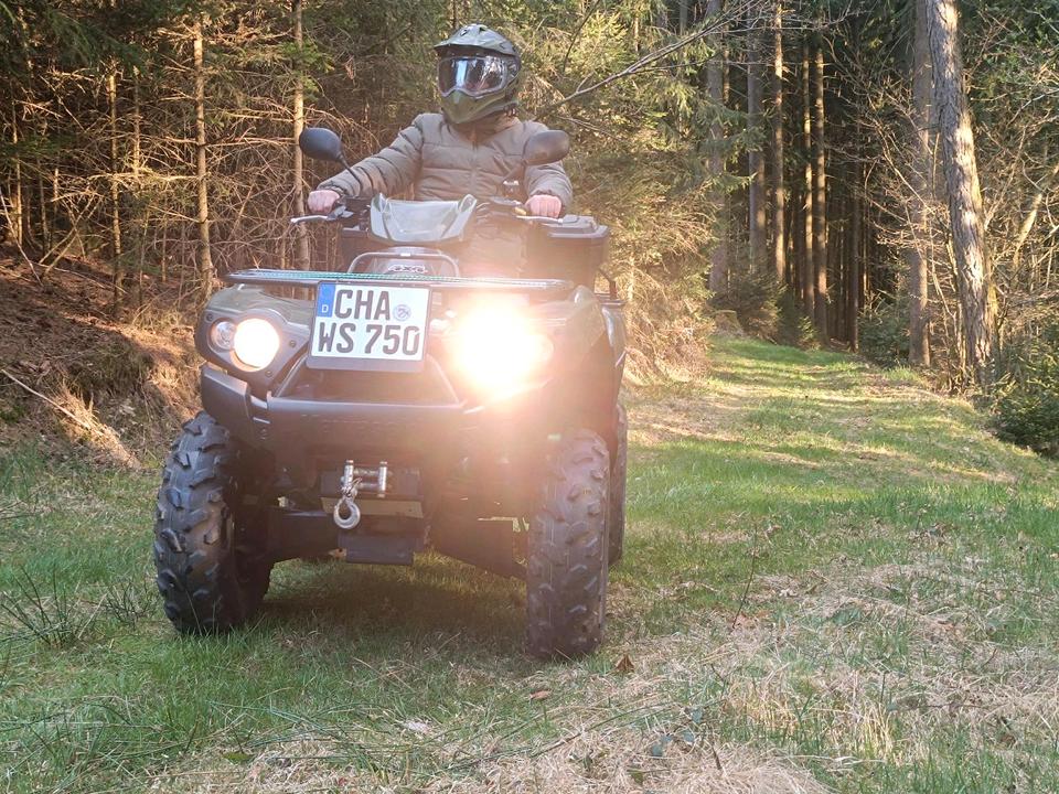 Kawasaki Quad LOF Kawasaki KVF 750 - wenig km und viel Zubehör 2005 — rear view
