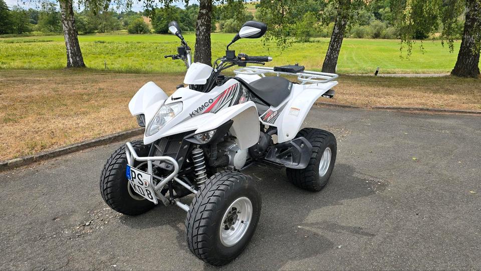 Kymco Quad Kymco Maxxer 250 TÜV bis 04/2028 , Topcase 2010 — rear view