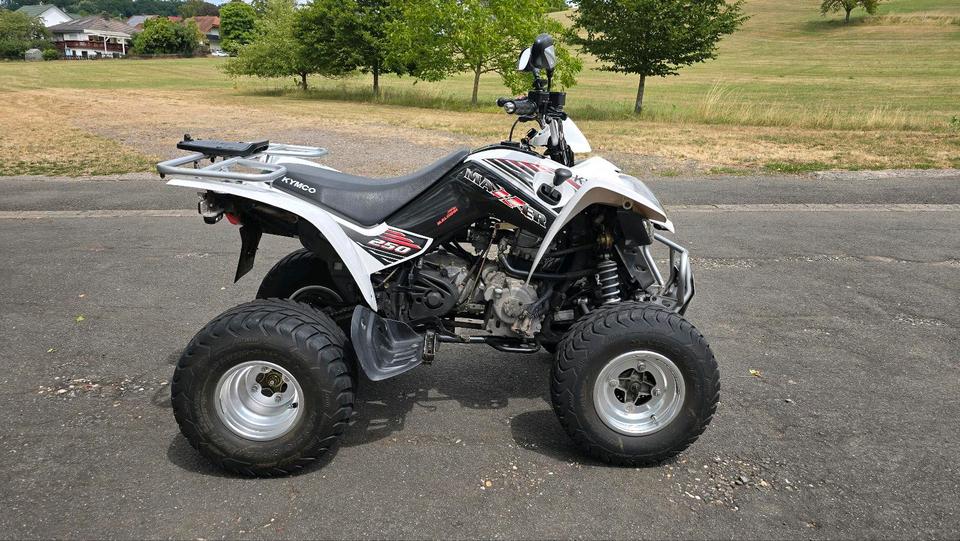 Kymco Quad Kymco Maxxer 250 TÜV bis 04/2028 , Topcase 2010 — photo 5