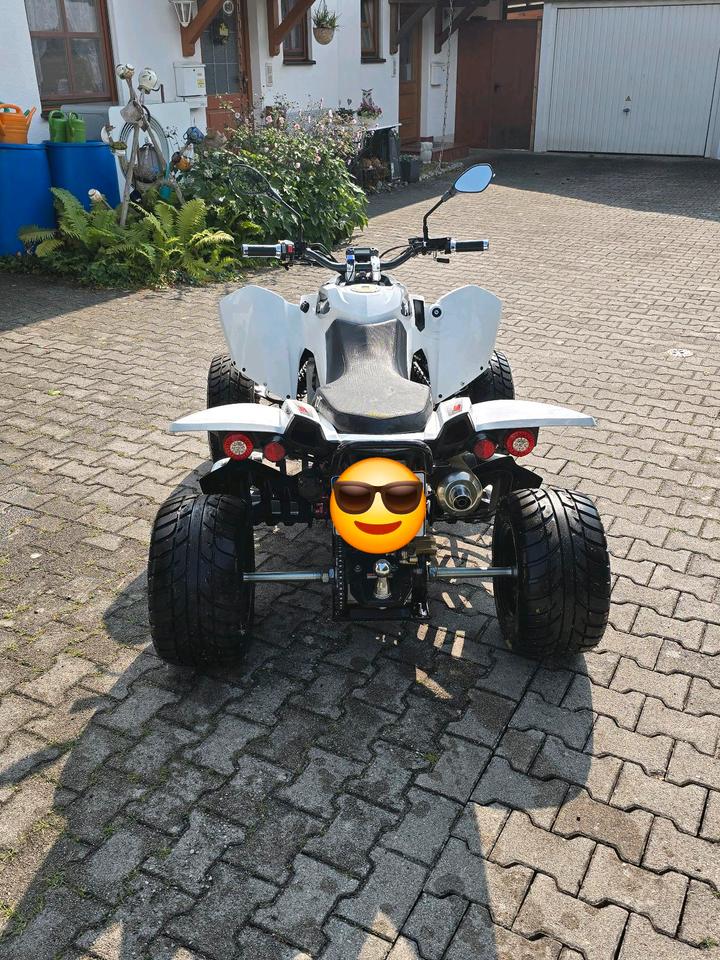 Weitere Motorräder Quad Triton Access 450 mit nur 6120km !! 2014 — салон