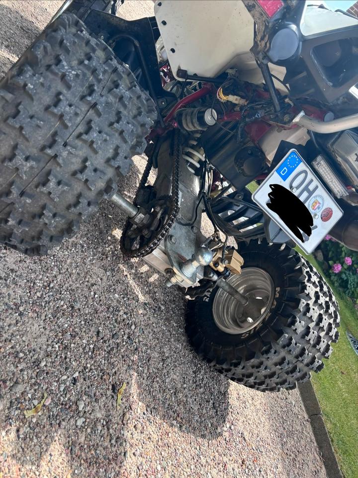  Access 450 2010 — двигун 449 ccm