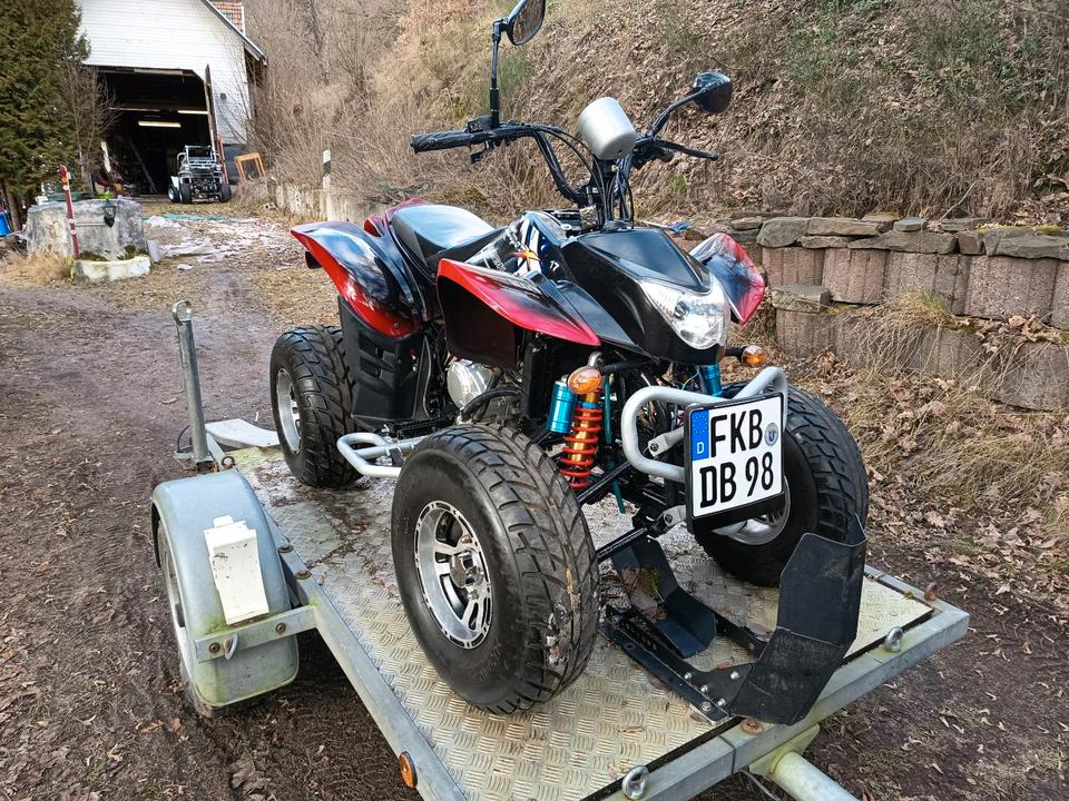 Weitere Motorräder Gelöscht • Quad 250ccm 2008 — вигляд ззаду