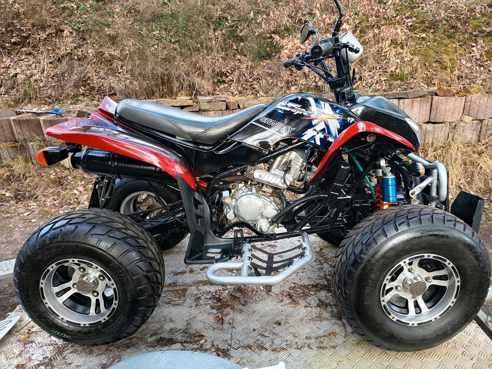 Weitere Motorräder Gelöscht • Quad 250ccm 2008 — салон