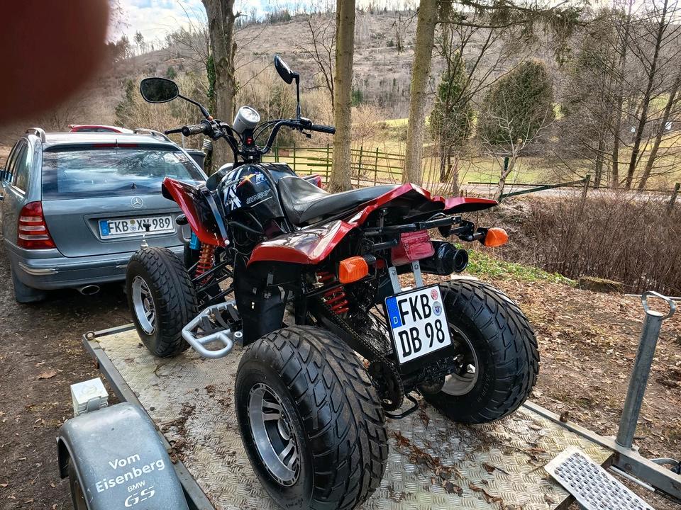 Weitere Motorräder Gelöscht • Quad 250ccm 2008 — двигун 250 ccm