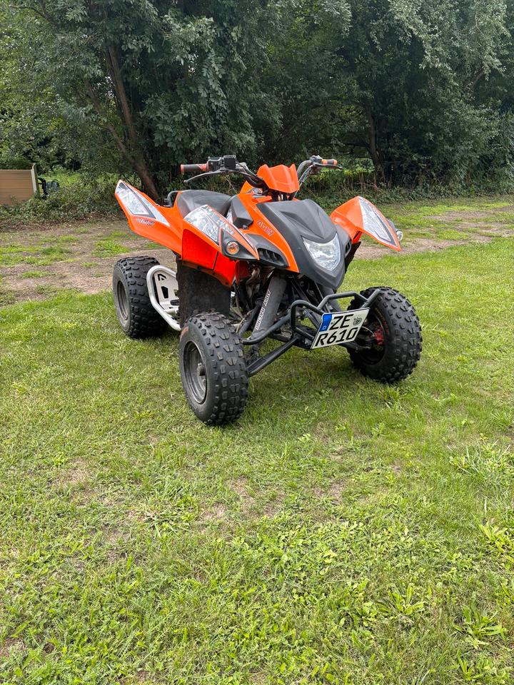  Adly XS 400 Quad 2013 — rear view