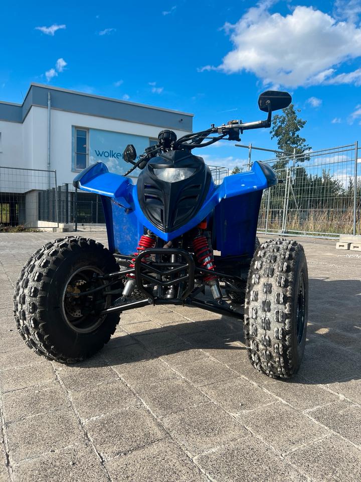 Weitere Motorräder ATV 300ccm mit Tüv 2006 — фото 6