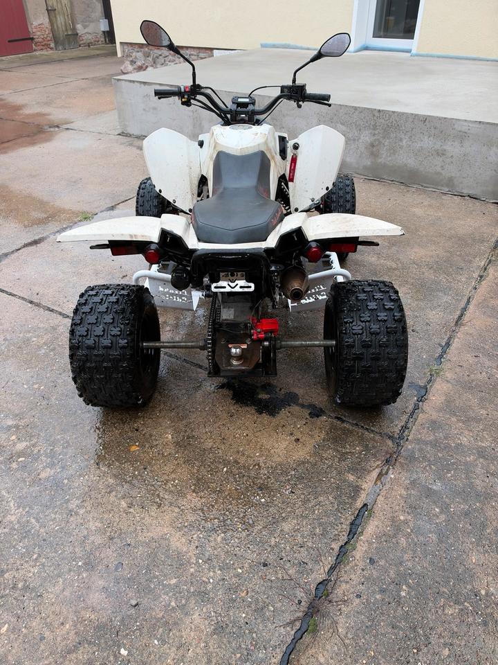 Weitere Motorräder Triton Access 450 ccm 2013 — interior