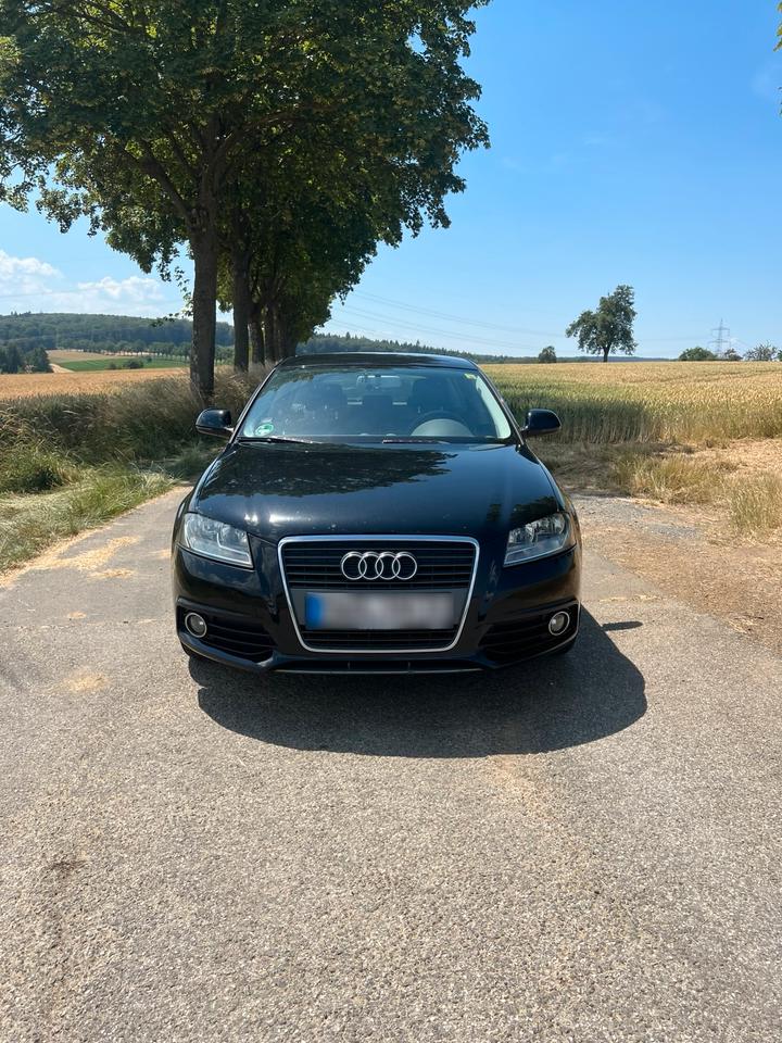 Audi A3 2008 — вигляд ззаду
