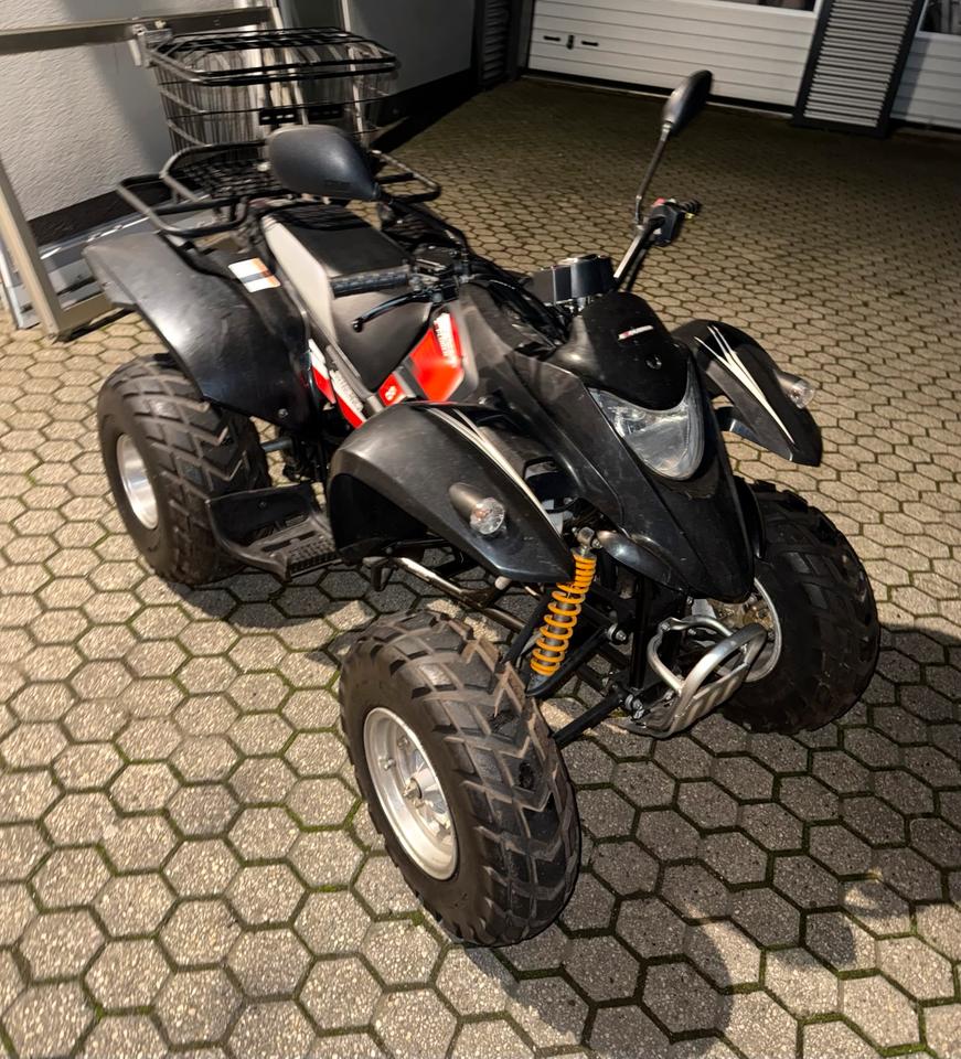 Weitere Motorräder Explorer Protector 50 Quad 2011 — вигляд ззаду