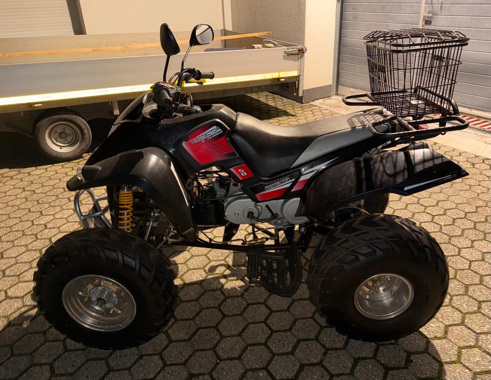 Weitere Motorräder Explorer Protector 50 Quad 2011 — фото 5