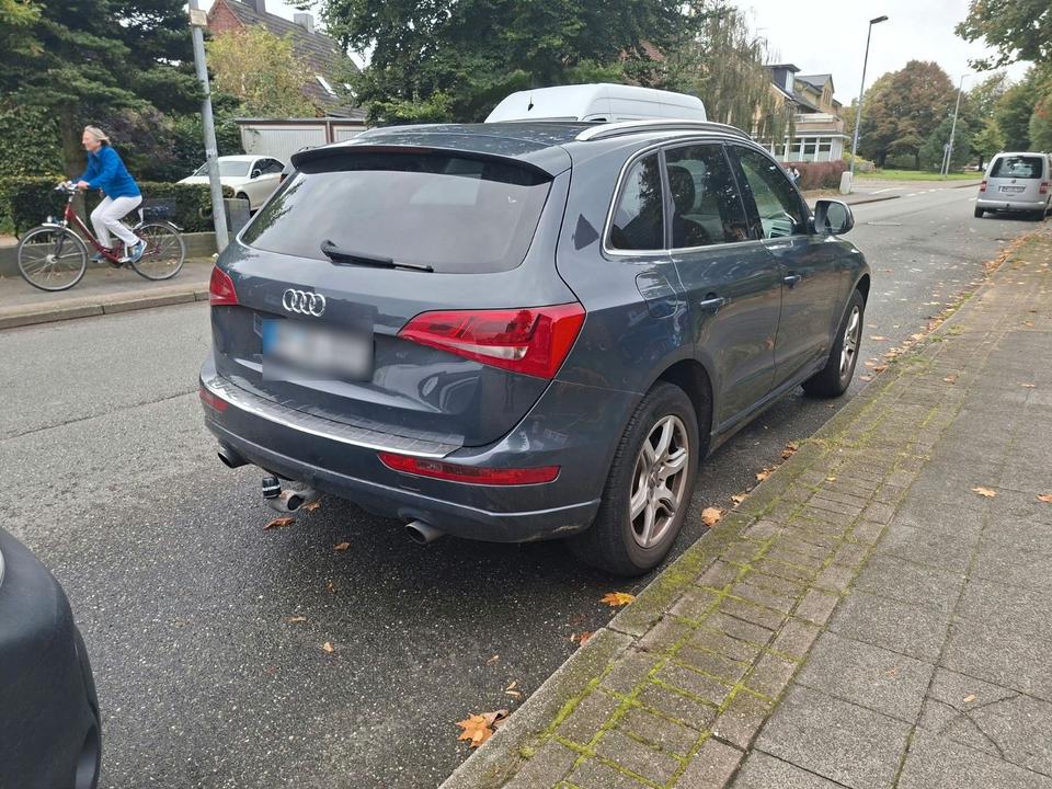 Audi Q5 2009 — вигляд ззаду