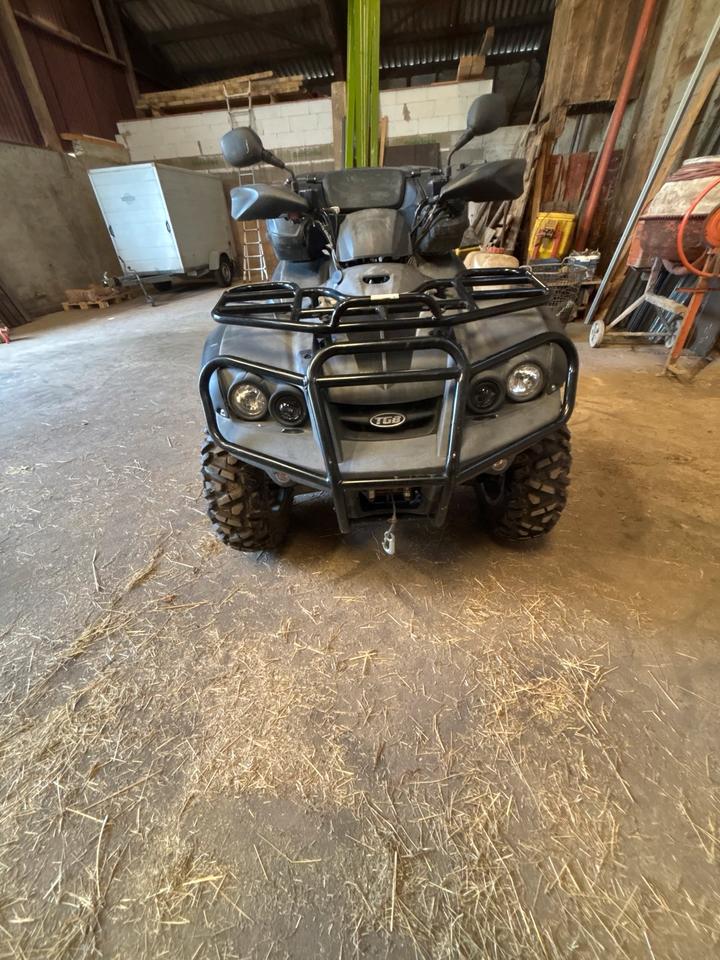  Gelöscht • Quad TGB Blade 550 2012 — двигун 503 ccm