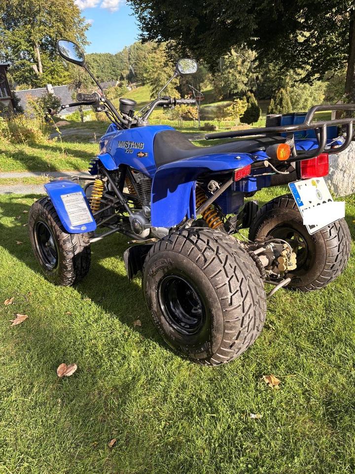 Weitere Motorräder SMC RAM 150 Quad / ATV – 164 ccm – 9 kW – Benzin 2005 — rear view