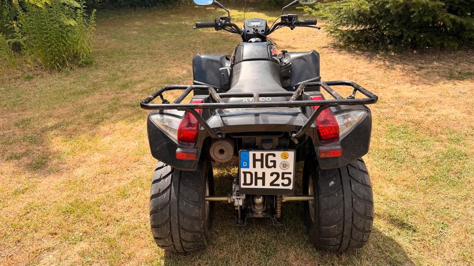 Kymco MXU 250, Quad, ATV 2007 — фото 6