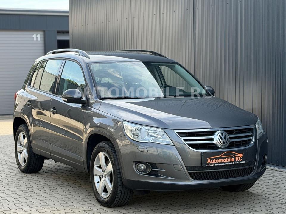 Volkswagen Tiguan 2011 — вигляд ззаду