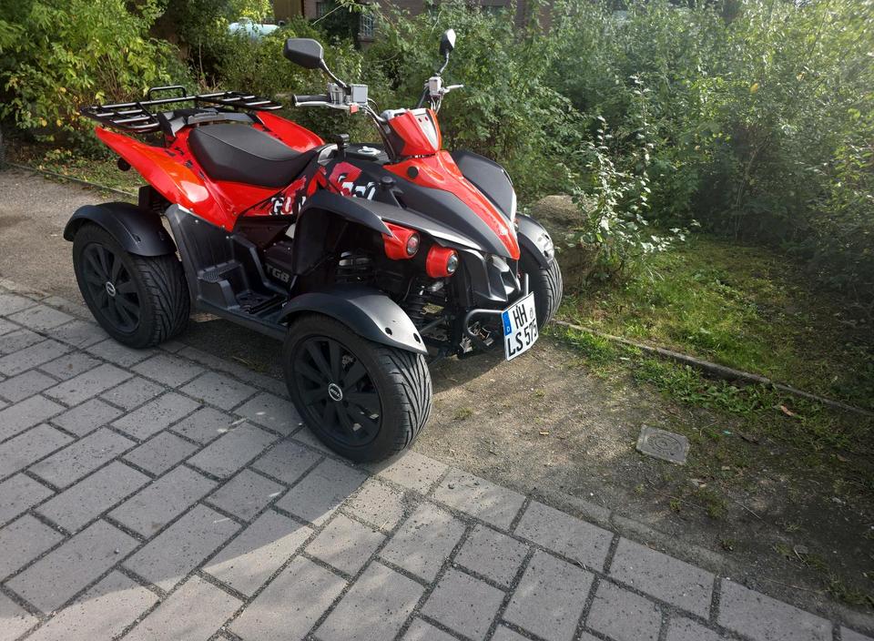 Weitere Motorräder Quad TGB GUNNER 550 CCM 2012 — rear view