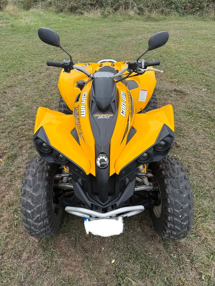  Can am Renegade 800 Allrad 2007 — rear view