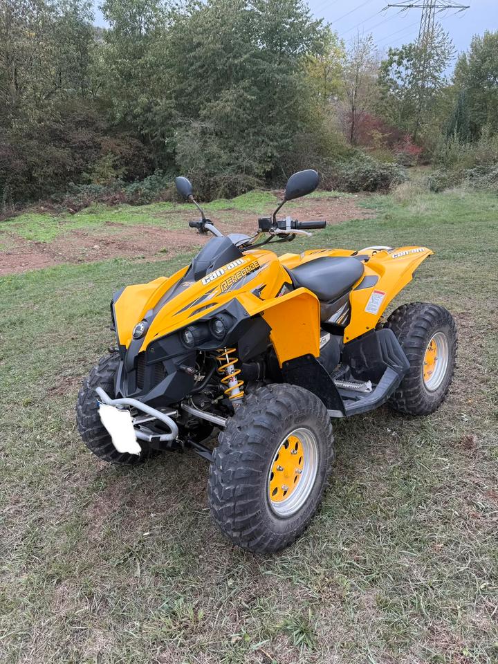  Can am Renegade 800 Allrad 2007 — photo 5
