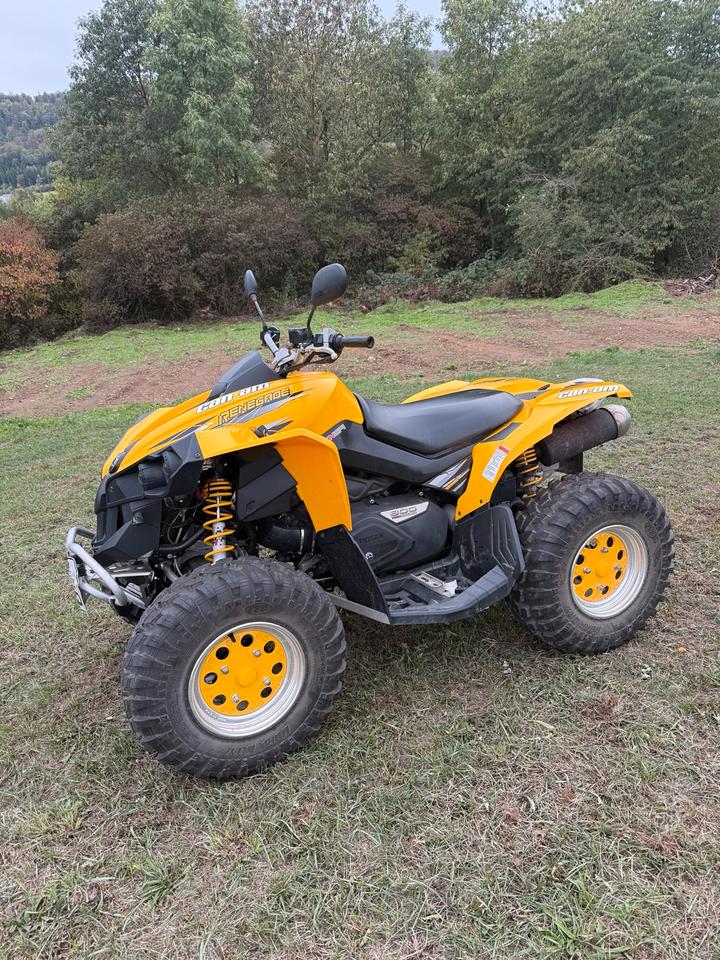  Can am Renegade 800 Allrad 2007 — photo 6