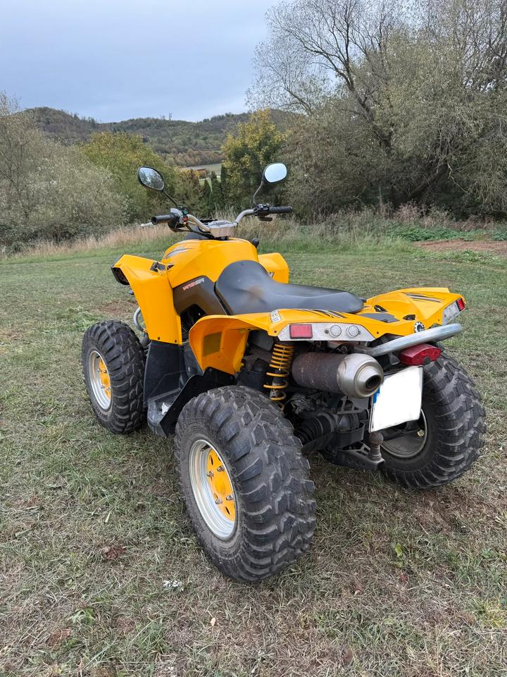 Can am Renegade 800 Allrad 2007 — photo 7